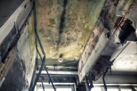 Best Residential Mold Inspection & Testing  in USA